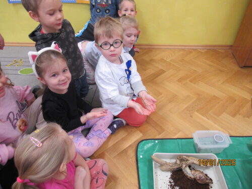 IMG 0007 (1) (1) (1)